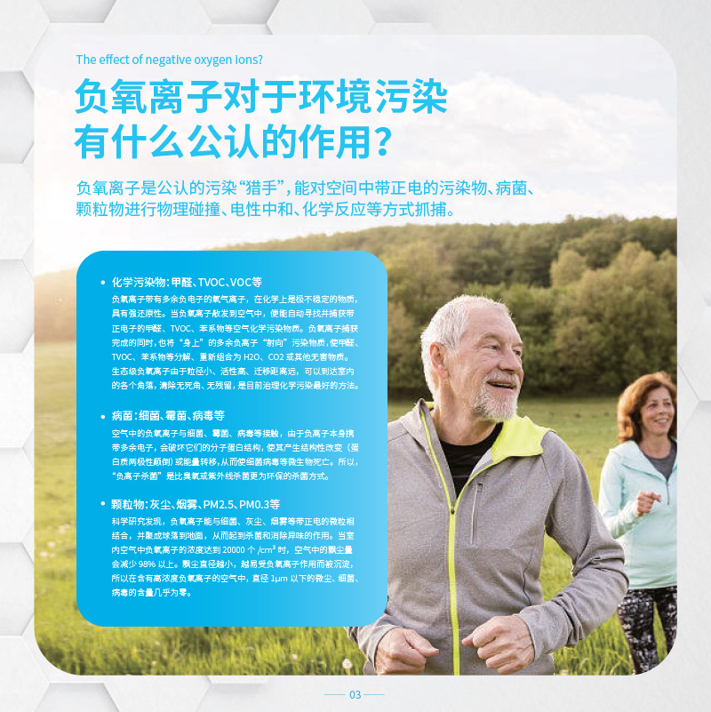 生态级环境负氧离子